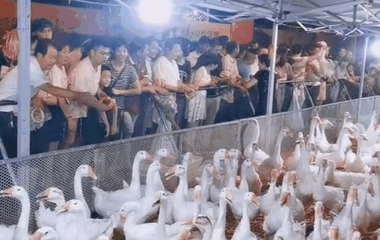微信图片_20191104092613.gif