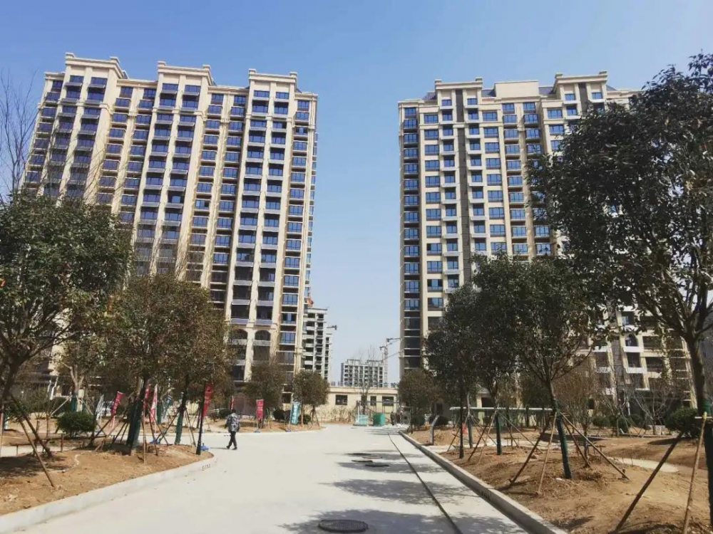 微信图片_20200324102459.jpg