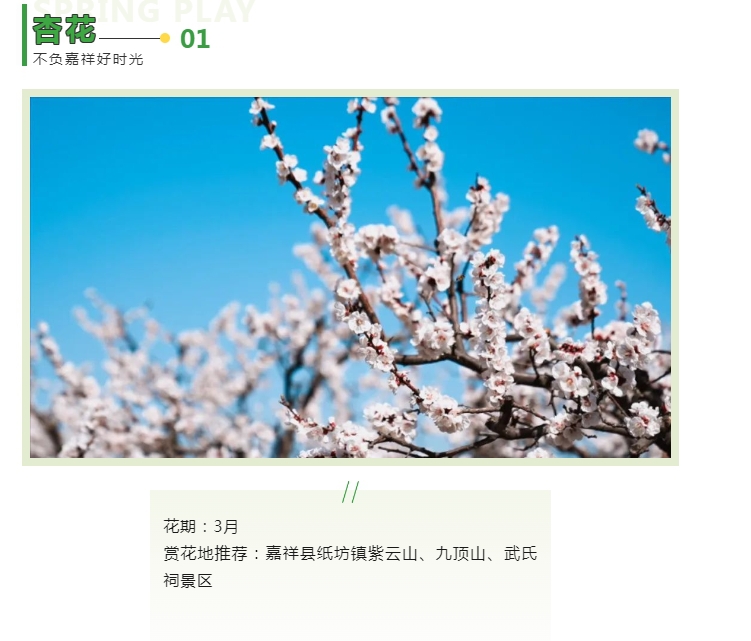 微信截图_20240325101222.png