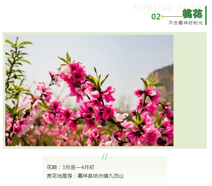 微信截图_20240325101237.png