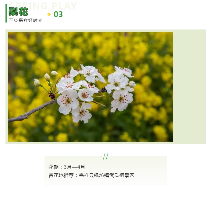 微信截图_20240325101249.png