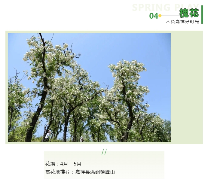 微信截图_20240325101300.png