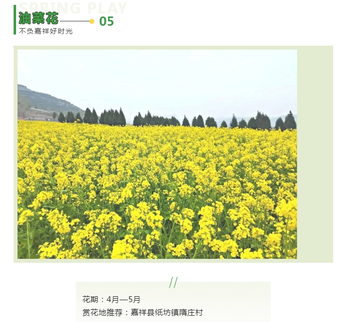 微信截图_20240325101313.png