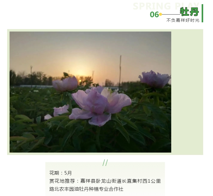 微信截图_20240325101340.png
