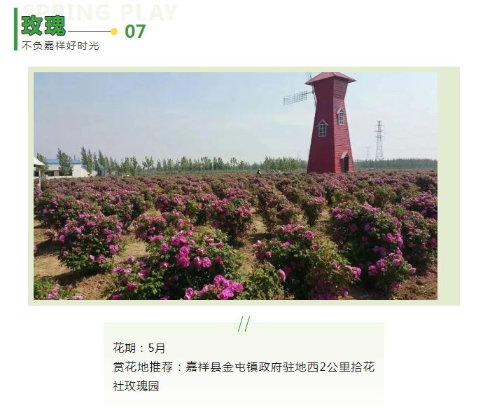 微信截图_20240325101357.png