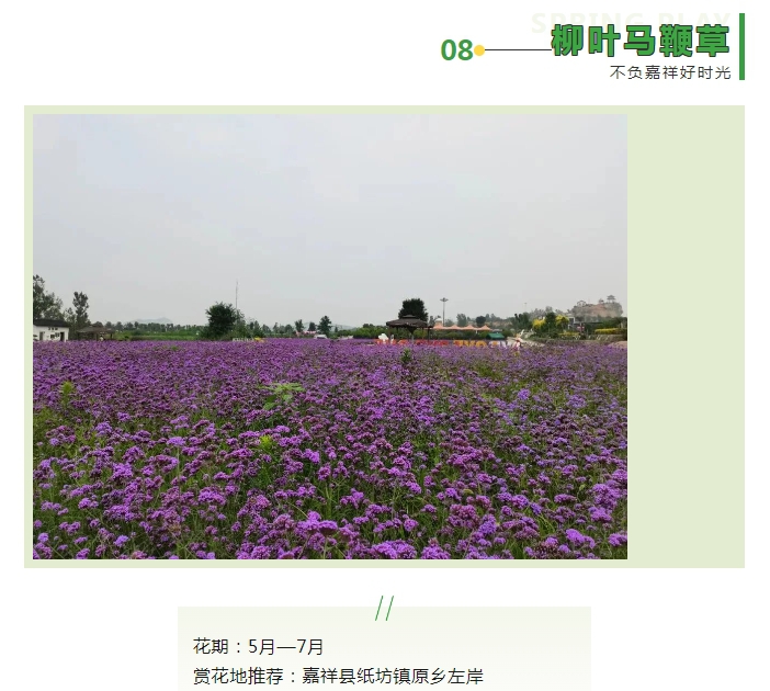 微信截图_20240325101413.png