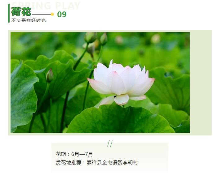 微信截图_20240325101429.png