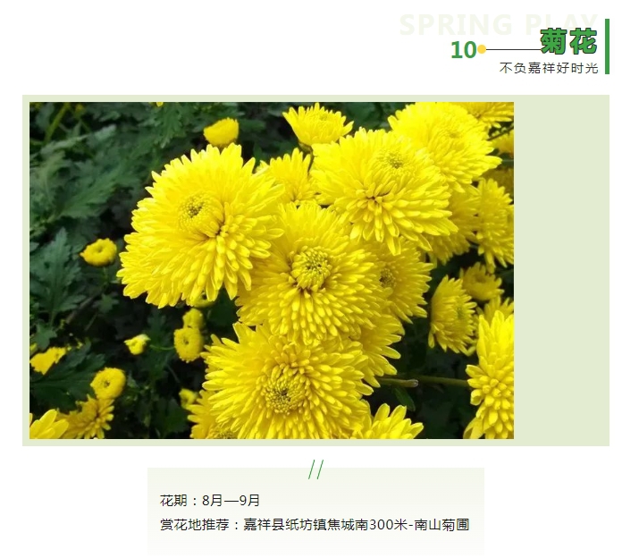 微信截图_20240325101451.png